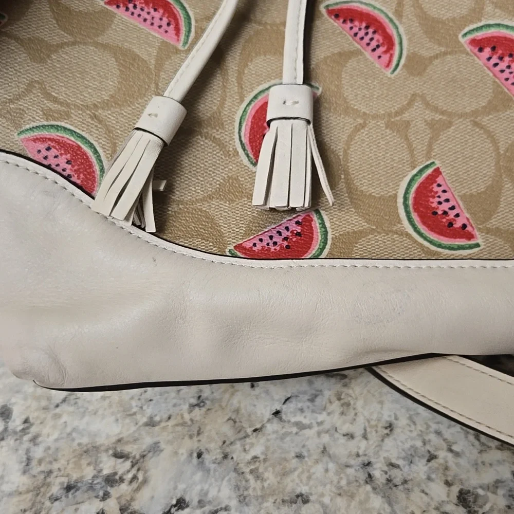 Coach Backpack - Picture 5 of 16